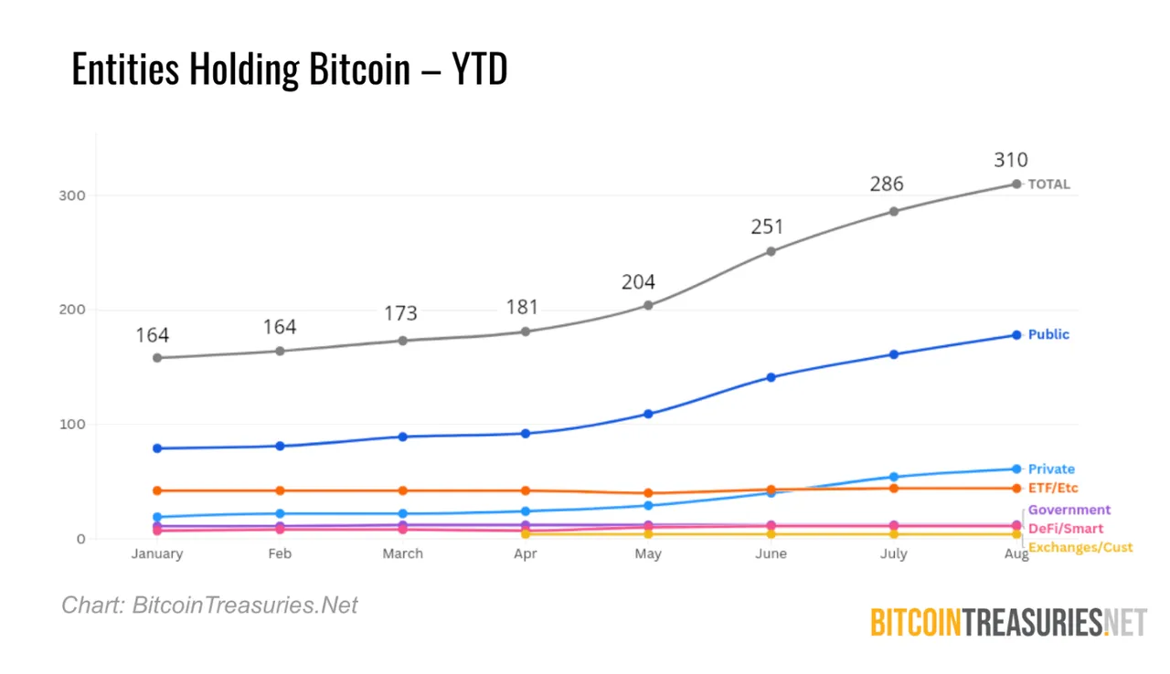 The number of companies holding Bitcoin treasury companies over time.