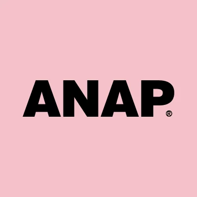 Anap Holdings Inc. logo